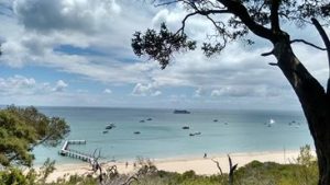 Picture of Shelly Beach in Portsea