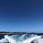 48428214_774835923284_6446936410275446784_n