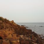 Which Social Media Network Should You Advertise On? Schnapper-Point-rocks-scaled