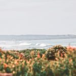 britt-gaiser-CncOSlhYvW0-unsplash-scaled